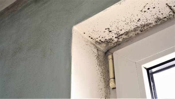 Best Post-Remediation Verification Testing  in Acushnet Center, MA